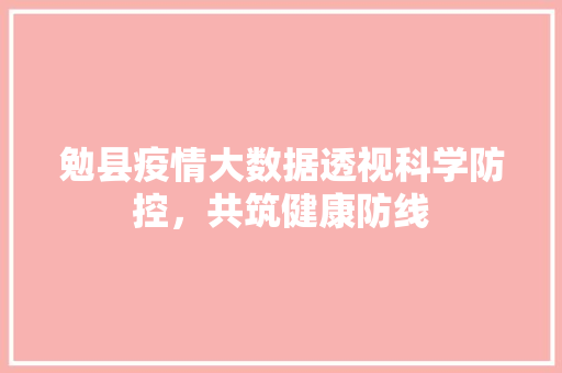 勉县疫情大数据透视科学防控，共筑健康防线  第1张