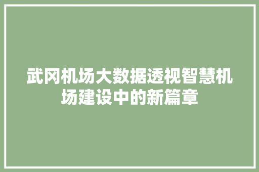 武冈机场大数据透视智慧机场建设中的新篇章