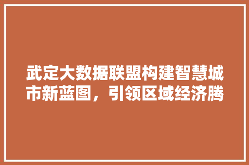 武定大数据联盟构建智慧城市新蓝图，引领区域经济腾飞