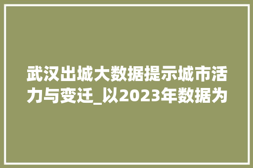 武汉出城大数据提示城市活力与变迁_以2023年数据为例  第1张
