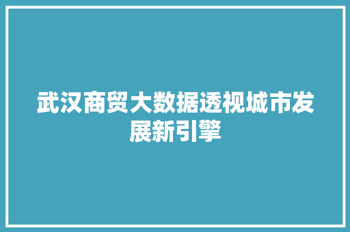 武汉商贸大数据透视城市发展新引擎  第1张