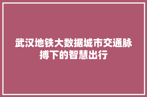 武汉地铁大数据城市交通脉搏下的智慧出行  第1张