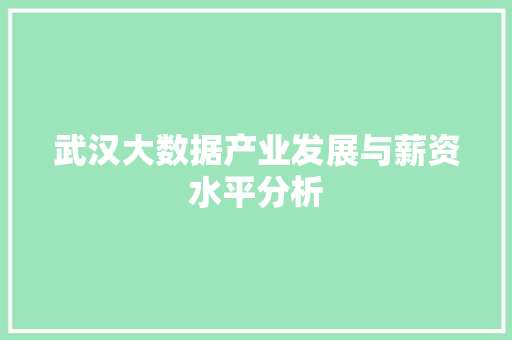 武汉大数据产业发展与薪资水平分析  第1张