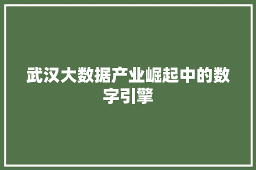 武汉大数据产业崛起中的数字引擎  第1张