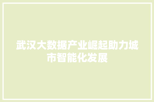 武汉大数据产业崛起助力城市智能化发展  第1张