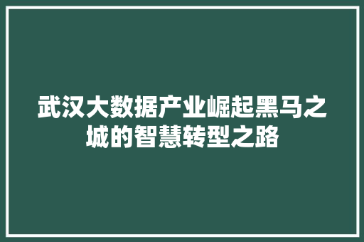 武汉大数据产业崛起黑马之城的智慧转型之路  第1张