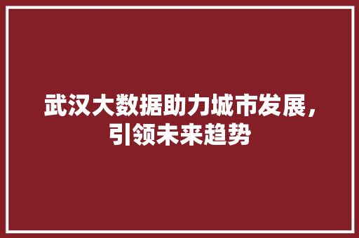 武汉大数据助力城市发展，引领未来趋势  第1张