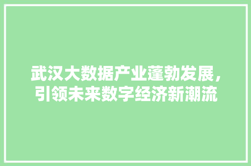 武汉大数据产业蓬勃发展，引领未来数字经济新潮流  第1张