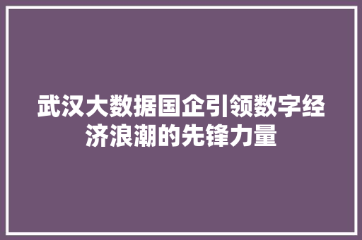 武汉大数据国企引领数字经济浪潮的先锋力量  第1张