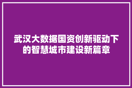 武汉大数据国资创新驱动下的智慧城市建设新篇章  第1张