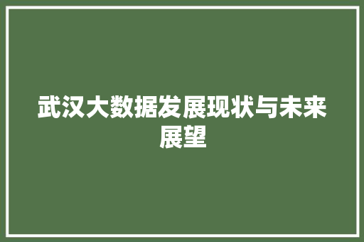 武汉大数据发展现状与未来展望  第1张