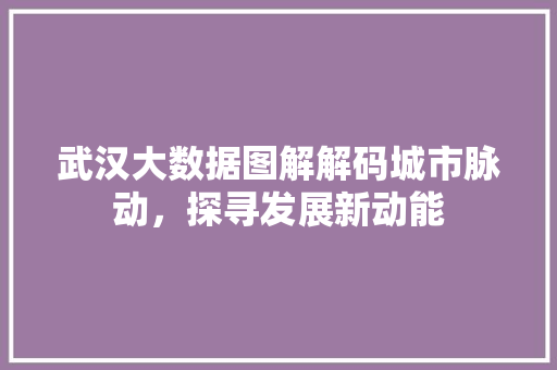 武汉大数据图解解码城市脉动，探寻发展新动能  第1张
