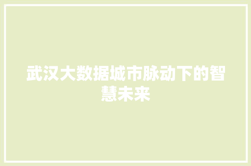 武汉大数据城市脉动下的智慧未来  第1张