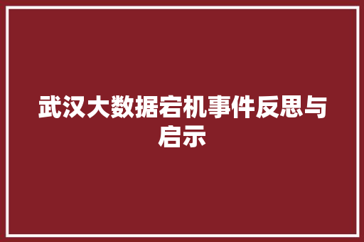 武汉大数据宕机事件反思与启示  第1张
