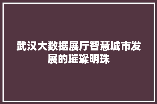 武汉大数据展厅智慧城市发展的璀璨明珠  第1张