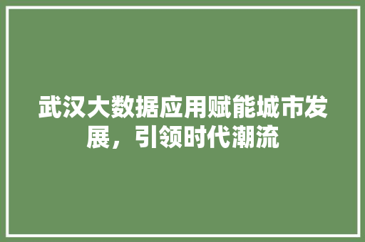 武汉大数据应用赋能城市发展，引领时代潮流  第1张