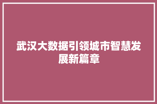 武汉大数据引领城市智慧发展新篇章  第1张