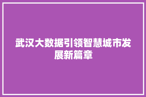 武汉大数据引领智慧城市发展新篇章  第1张