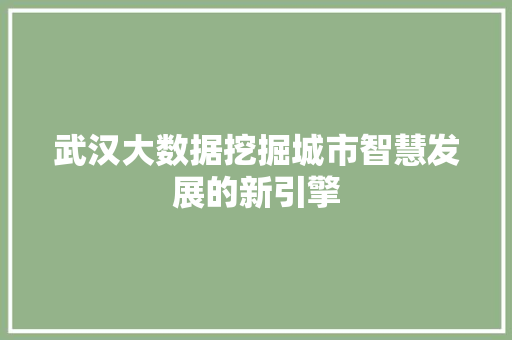武汉大数据挖掘城市智慧发展的新引擎  第1张