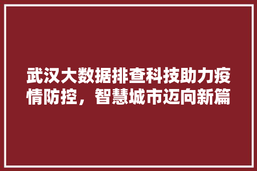 武汉大数据排查科技助力疫情防控，智慧城市迈向新篇章  第1张