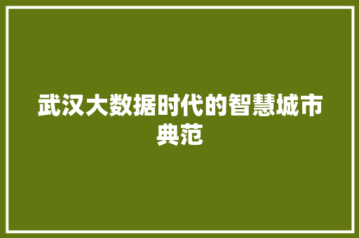 武汉大数据时代的智慧城市典范  第1张