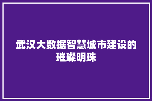 武汉大数据智慧城市建设的璀璨明珠  第1张