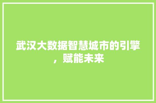 武汉大数据智慧城市的引擎，赋能未来  第1张