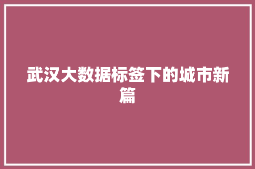 武汉大数据标签下的城市新篇  第1张
