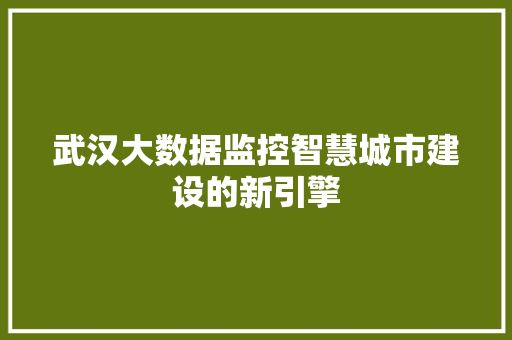 武汉大数据监控智慧城市建设的新引擎  第1张