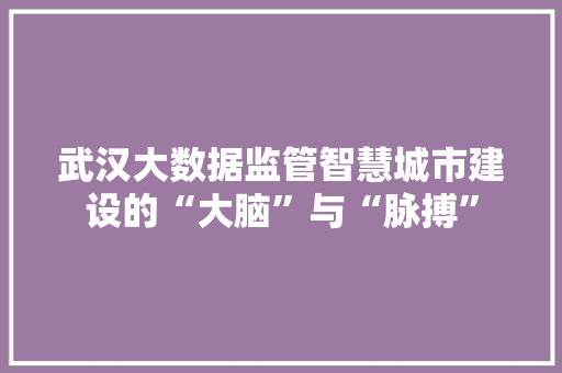 武汉大数据监管智慧城市建设的“大脑”与“脉搏”  第1张