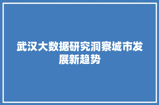 武汉大数据研究洞察城市发展新趋势  第1张