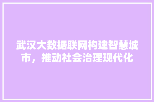 武汉大数据联网构建智慧城市，推动社会治理现代化  第1张