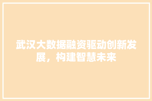 武汉大数据融资驱动创新发展，构建智慧未来  第1张