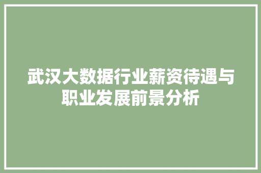 武汉大数据行业薪资待遇与职业发展前景分析  第1张
