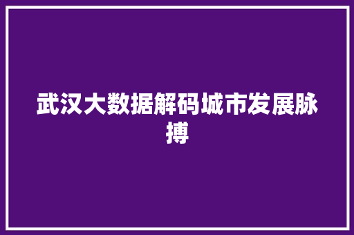 武汉大数据解码城市发展脉搏  第1张