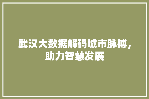 武汉大数据解码城市脉搏，助力智慧发展  第1张