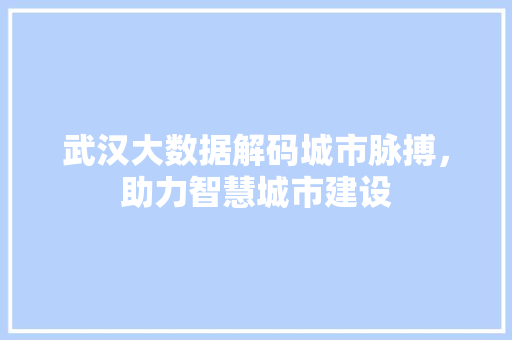武汉大数据解码城市脉搏，助力智慧城市建设  第1张