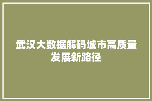 武汉大数据解码城市高质量发展新路径