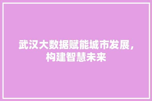 武汉大数据赋能城市发展，构建智慧未来  第1张