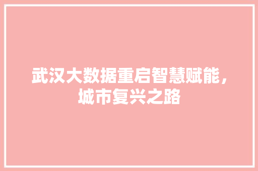 武汉大数据重启智慧赋能，城市复兴之路  第1张