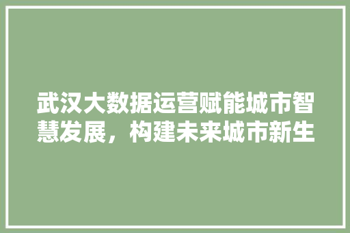 武汉大数据运营赋能城市智慧发展，构建未来城市新生态  第1张
