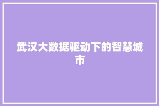武汉大数据驱动下的智慧城市  第1张