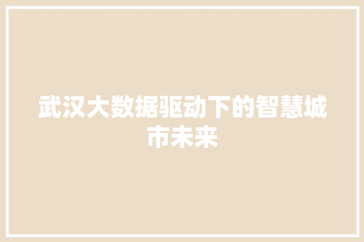 武汉大数据驱动下的智慧城市未来  第1张