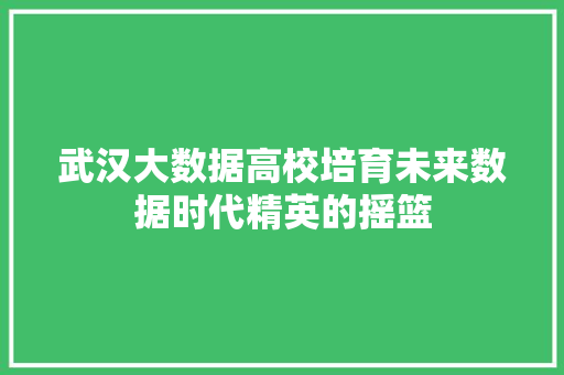 武汉大数据高校培育未来数据时代精英的摇篮  第1张