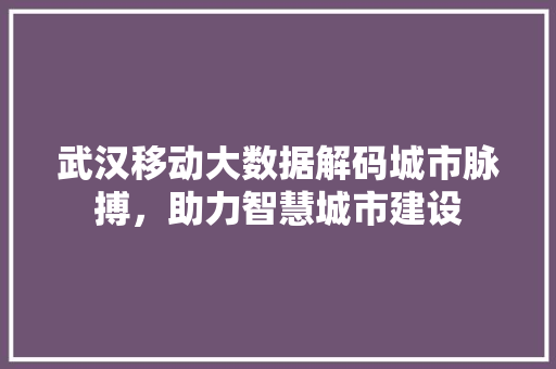 武汉移动大数据解码城市脉搏，助力智慧城市建设  第1张