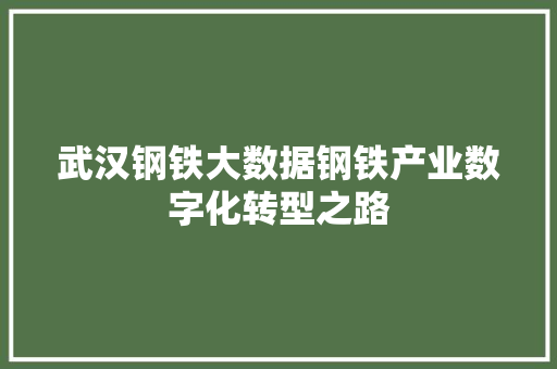 武汉钢铁大数据钢铁产业数字化转型之路  第1张