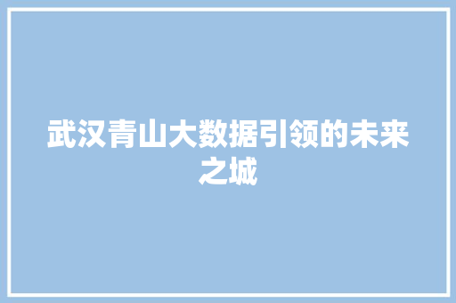 武汉青山大数据引领的未来之城  第1张