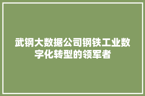 武钢大数据公司钢铁工业数字化转型的领军者  第1张