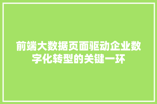 前端大数据页面驱动企业数字化转型的关键一环  第1张