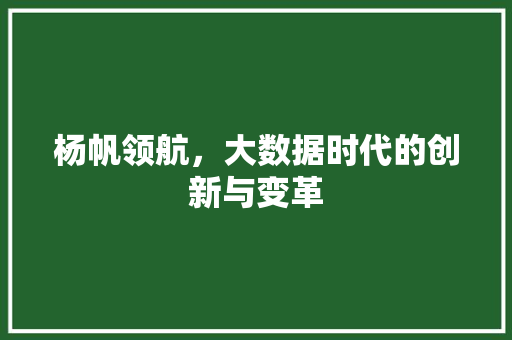 杨帆领航，大数据时代的创新与变革
